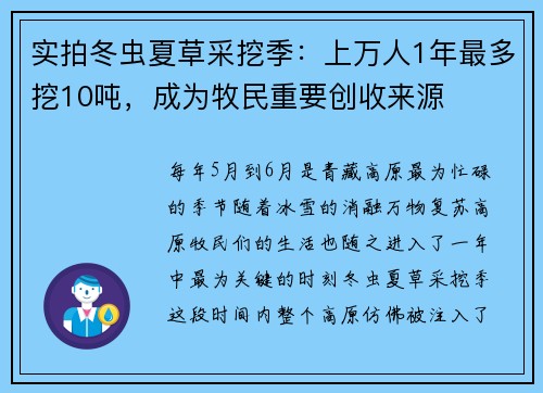 实拍冬虫夏草采挖季：上万人1年最多挖10吨，成为牧民重要创收来源