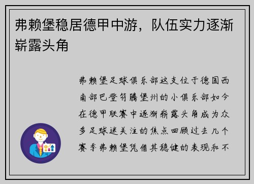 弗赖堡稳居德甲中游，队伍实力逐渐崭露头角